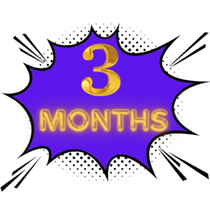 3 months subscription