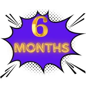 6 months subscription